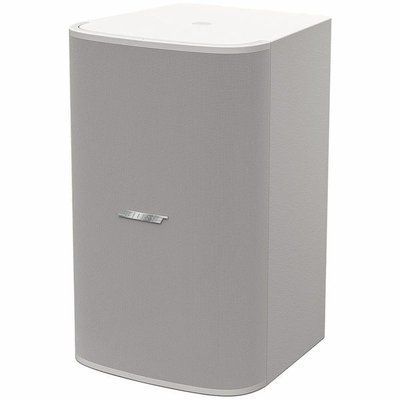Сабвуфер Bose DesignMax DM10S-SUB white 3025477 фото