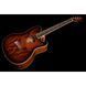 Акустическая гитара Ibanez TCM50-VBS 570 фото 3