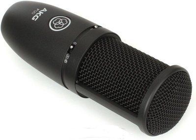 Мікрофон AKG P120 2094412388 фото