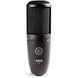 Мікрофон AKG P120 2094412388 фото 2