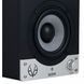 Студийный монитор Eve Audio SC204 803504 фото 3