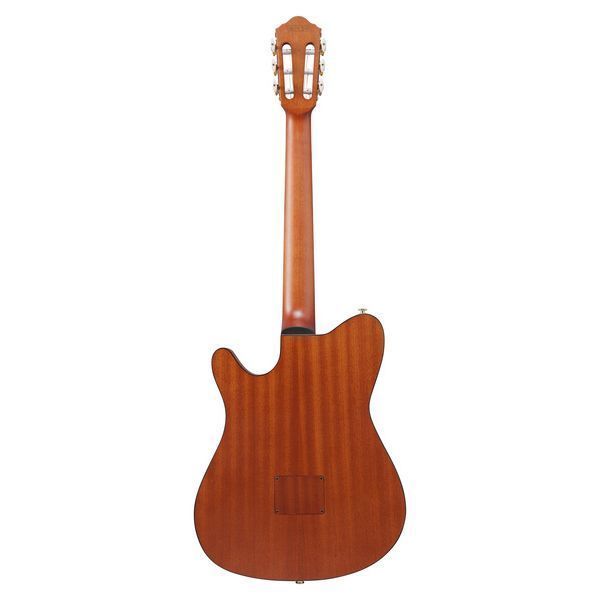 Класична гітара Ibanez FRH10N-RGF 1202 фото