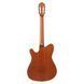 Класична гітара Ibanez FRH10N-RGF 1202 фото 4
