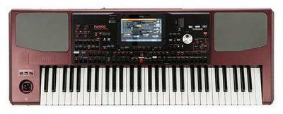 Рабочая станция Korg PA1000 870012 фото