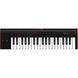 MIDI-клавіатура IK MULTIMEDIA iRig Keys 2 2093865277 фото 2