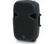 Акустическая система Behringer PK112A 2093865230 фото 4