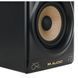 Студійний монітор M-Audio Forty Sixty 5001 фото 4