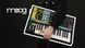 Синтезатор Moog GRANDMOTHER 88825402040 фото 2
