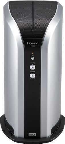 Комбоусилитель Roland PM-03 257001 фото