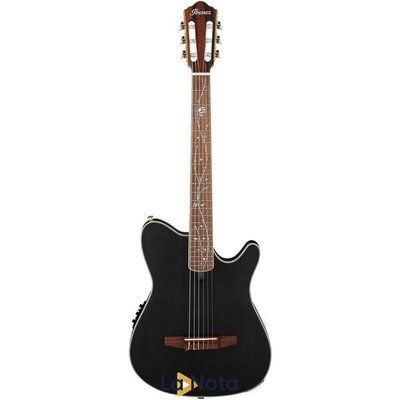 Класична гітара Ibanez TOD10N 885600214 фото