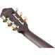 Класична гітара Ibanez TOD10N 885600214 фото 4