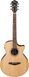 Акустическая гитара Ibanez AE275BT-LGS 153 фото 1