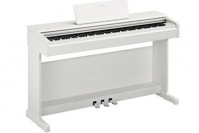 Цифрове піаніно Yamaha Arius YDP-145 White 0032100 фото