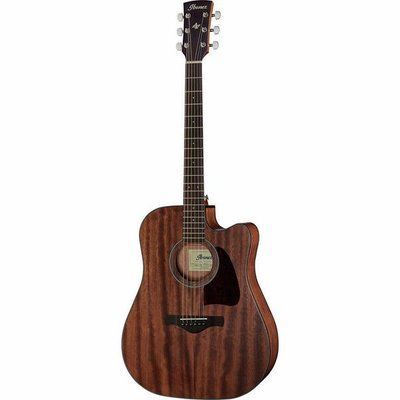 Акустична гітара Ibanez AW54CE-OPN 002284 фото