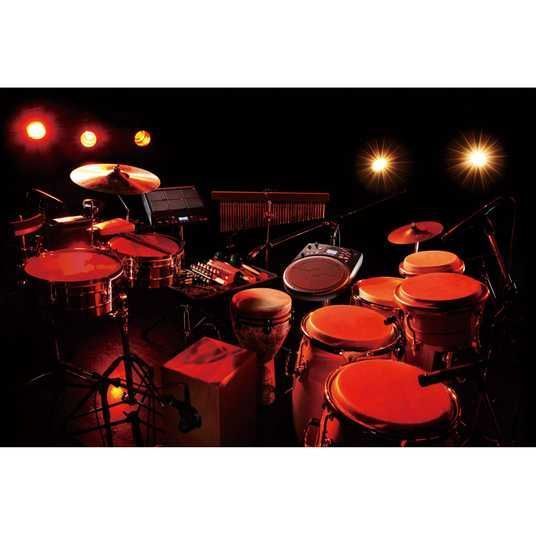 Электронная перкуссия Roland HandSonic HPD-20 9905542 фото