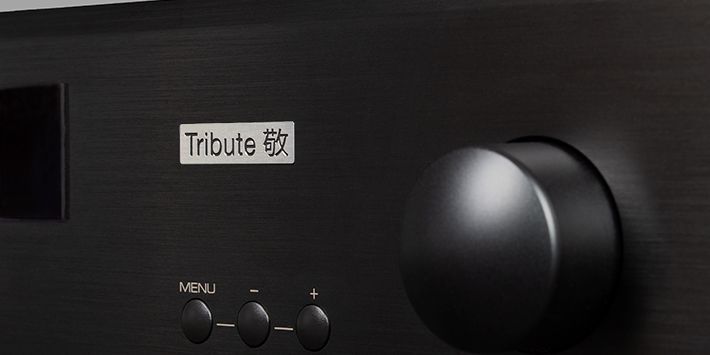 Интегральный усилитель Rotel A11 Tribute Black 1156 фото