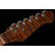 Електрогитара Harley Benton Fusion-III HSH Roasted FBB 10026 фото 4