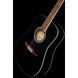 Акустична гітара Fender FA-125 Blk WN 5550221 фото 4