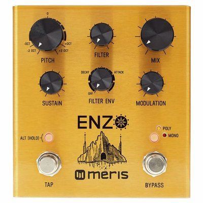 Педаль ефектов Meris Enzo Multi-Voice Synthesizer 333254 фото