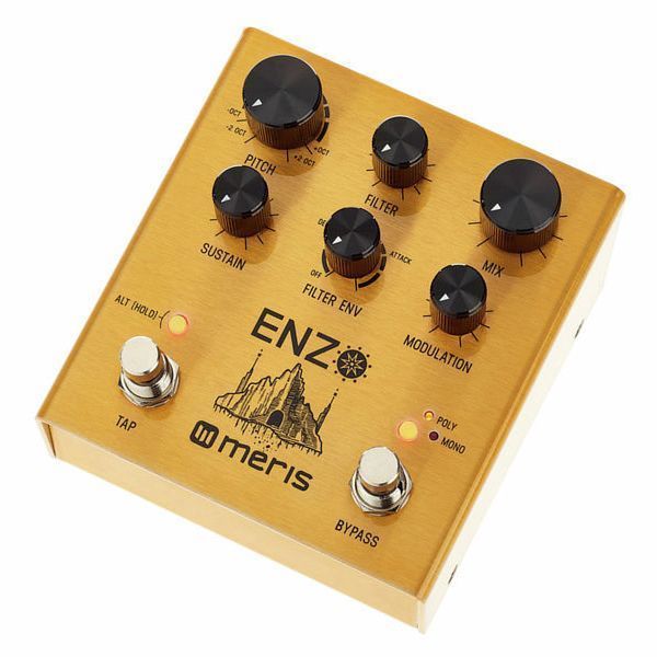 Педаль ефектов Meris Enzo Multi-Voice Synthesizer 333254 фото