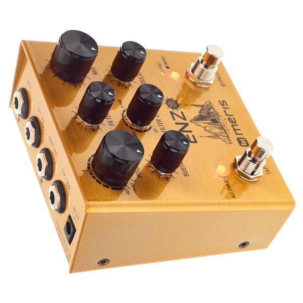 Педаль ефектов Meris Enzo Multi-Voice Synthesizer 333254 фото