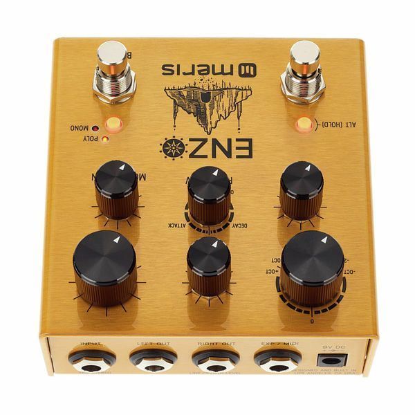 Педаль ефектов Meris Enzo Multi-Voice Synthesizer 333254 фото