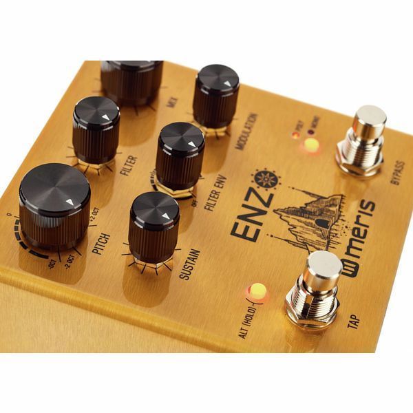 Педаль ефектов Meris Enzo Multi-Voice Synthesizer 333254 фото