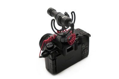 Микрофон Rode VideoMicro 2093864009 фото