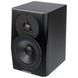Студийный монитор Dynaudio LYD 5 Black 66085 фото 1