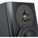 Студийный монитор Dynaudio LYD 5 Black 66085 фото 4