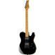 Електрогітара Schecter PT BK 641 фото 1