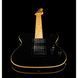 Електрогітара Schecter PT BK 641 фото 4