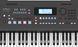 Синтезатор Roland E-X50 0028447 фото 3
